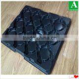 Vacuum Thermo Plastic Display Advertising Tray for Tea thumbnail-6
