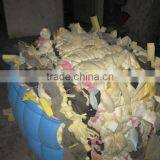 Hai Bo Li Trim Foam/waste Foam Withour Skin thumbnail-5