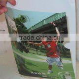 2015 Best Sale Low Price PP File Folder for Promotion thumbnail-1