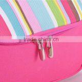 600D Oxford Wholesale Thermal Insulated Aluminium Foil Cooler Bag thumbnail-1