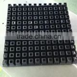 Seedling plastic dish tray for water plant vegetables made in Jinan shandong China