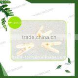 Standard Plastic Clothes Pegs