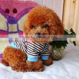 Dog Wear Outdoor North-face Dog Jacket Dog Coat thumbnail-1