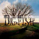 advanced advertising indoor posters printing