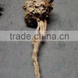 Shabby Chic Style Window Display Decoration Props thumbnail-1