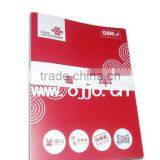 2013 Handmade Plastic File Folder Sheets