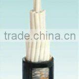 Control Cord thumbnail-1