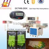 Automatic Horizontal Pillow Packing Machine in India