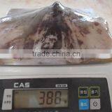 MEXICAN GIANT SQUID WINGS thumbnail-4