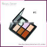 Natural Cosmetic Professional Makeup Waterproof Cheap 6 Colors Concealer Palette thumbnail-2