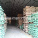 Wet Polished Robusta Green Coffee Beans Grade 1 Screen 18 thumbnail-4