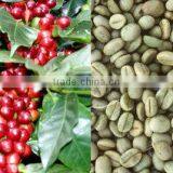 GREEN FAIR TRADE & PRODUCTION COMPANY LIMITED company overview - view 1 thumbnail