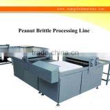 Peanut Brittle Processing Line