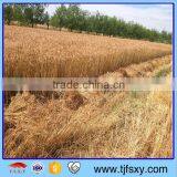 Wheat Reaper Binder Grass Cutter thumbnail-6