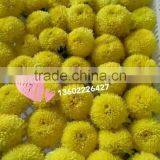 Flower Dryers / Flower Drying Machine thumbnail-5