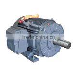 IE3 Standard Synchronous Speed 400V 50Hz Three Phase Induction Cast Iron Motor thumbnail-1
