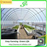 Low Cost Plastic Agriculture Greenhouse thumbnail-2