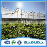 Professional Plastic Film Greenhouse Project Commercial Hydroponic Systems thumbnail-1