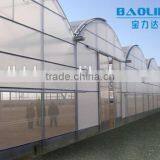 Low Cost Plastic Film Greenhouse For Vegetables & Agriculture Greenhouse thumbnail-1