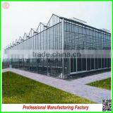 Factory Venlo SQ-10.0 Glass Greenhouses With Low Cost thumbnail-1