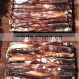 Iran Fish Illex Squid thumbnail-2