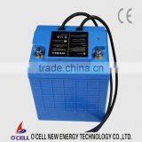 LiFePO4 Battery Pack 12V 100Ah for Solar Storage
