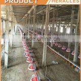 Automatic Poultry Layer Farming Equipment And Poultry Farm Raw Materials thumbnail-4
