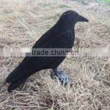 Full Body Flocked Crow Decoys thumbnail-4