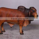 Definitive Brahman Looking Right thumbnail-1