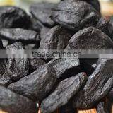 GMP Factory Supply High Quality Best Price Black Garlic--HC Company thumbnail-2