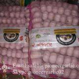 Small Packing 5-5.5cm Fresh Red Garlic Produced In Jinxiang Shandong China thumbnail-2