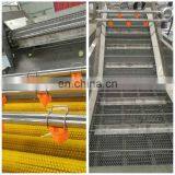 304 Stainless Steel Fruit Air Washing Machine for Cleaning Plum Cherry Apricot thumbnail-6