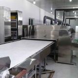 Large microwave drying equipment