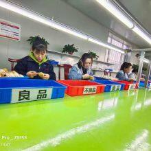 Qingxian Runcaitang Cosmetic Tools Co., Ltd company overview - view 3 thumbnail