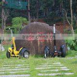 Sunnytimes-i2 Off-road Scooter thumbnail-2