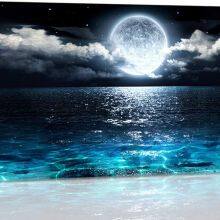 Wall Art Moon Sea Ocean Landscape Picture Canvas Wall Art Oil Paintings Modern Artwork for Living Room Wall Decor and Home Décor Framed Ready to Hang