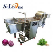 Vegetable and Fruit Washing Machine Bubble Cleaning Cabbage Lettuce Pepper Washer for Vegetable Processing Plants thumbnail-4