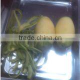 Good Price Pumpkin Peeler/pineapple Peeling Machine/cantaloupe Peeling Machine thumbnail-5