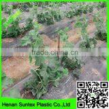 Supper Hdpe Tomato /cucumber Plant Support Net thumbnail-3