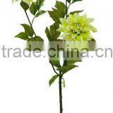 Artificial Flower-Penoy