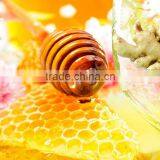 Instant Honey Ginger Tea thumbnail-5