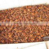 HIGH QUALITY STAR ANISEED AUTUM CROP AND SPRING CROP (skype:tuanminhco) thumbnail-1