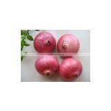 Fresh Red Onion in Bag thumbnail-1