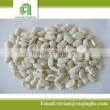 Bulk Packaging Kidney Beans, Flat White Kidney Beans for Sale thumbnail-1