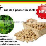 Wholesale Good Quality Peanuts Importers thumbnail-3