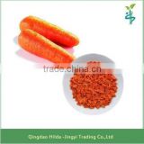 High quality dried carrot granules from China