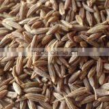 Exporters of Cumin Seeds from India
