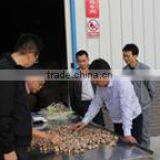 Zhongxiang Xingli Foods Co., Ltd. company overview - view 3 thumbnail