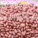 Chinese New Crop Peanuts 2015 Big Size thumbnail-1