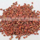 Edible Red Water Melon Seeds Big Size thumbnail-3